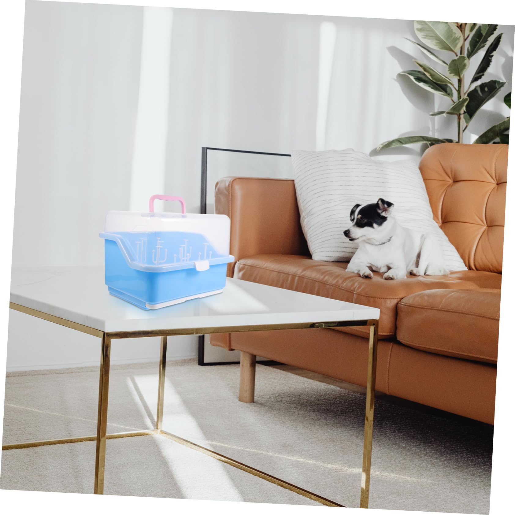 Boîte de Séchage pour Biberons en PP Couvercle Bleu | Plateau D’égouttage Intégré, Rangement Multi-usage pour Pailles et Vaisselle Couleur Aléatoire