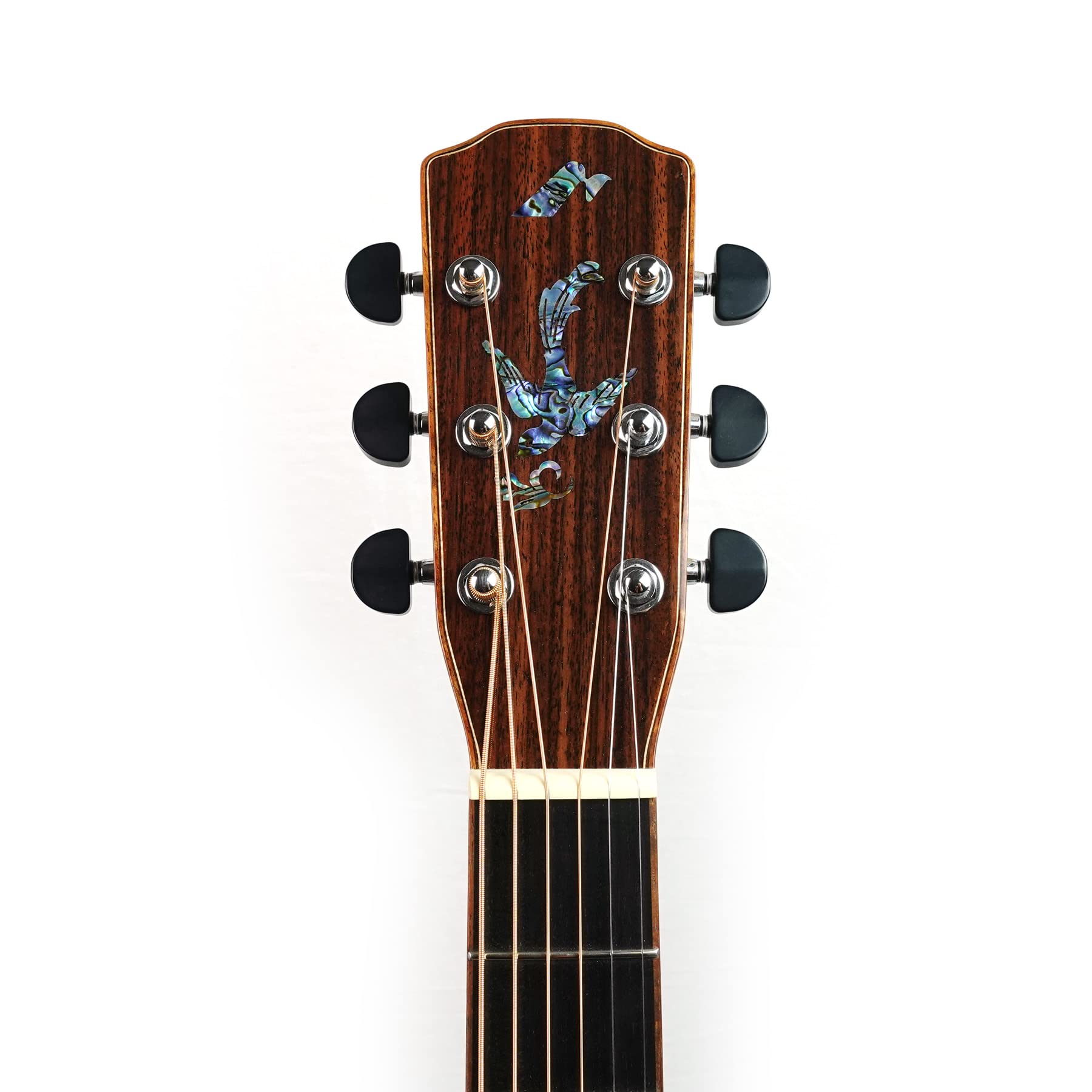 Amazon | MORRIS S-106 III NAT エレクトリック アコースティック