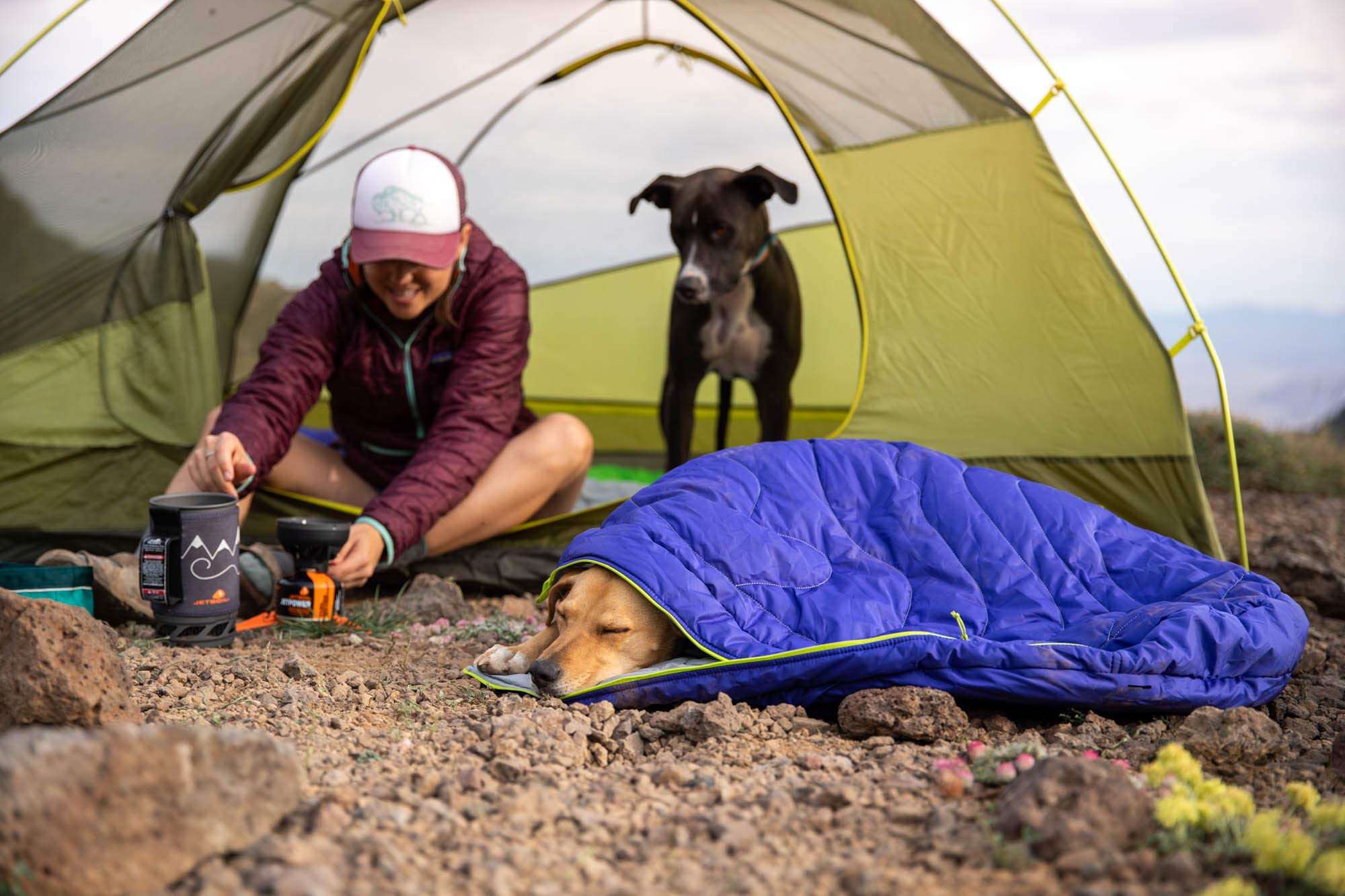 RUFFWEAR Highlands Śpiwór dla psa, duże legowisko dla psa, na kemping i wycieczki z plecakiem