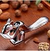 Squirrel Walnut Hazelnut Almond Cracker