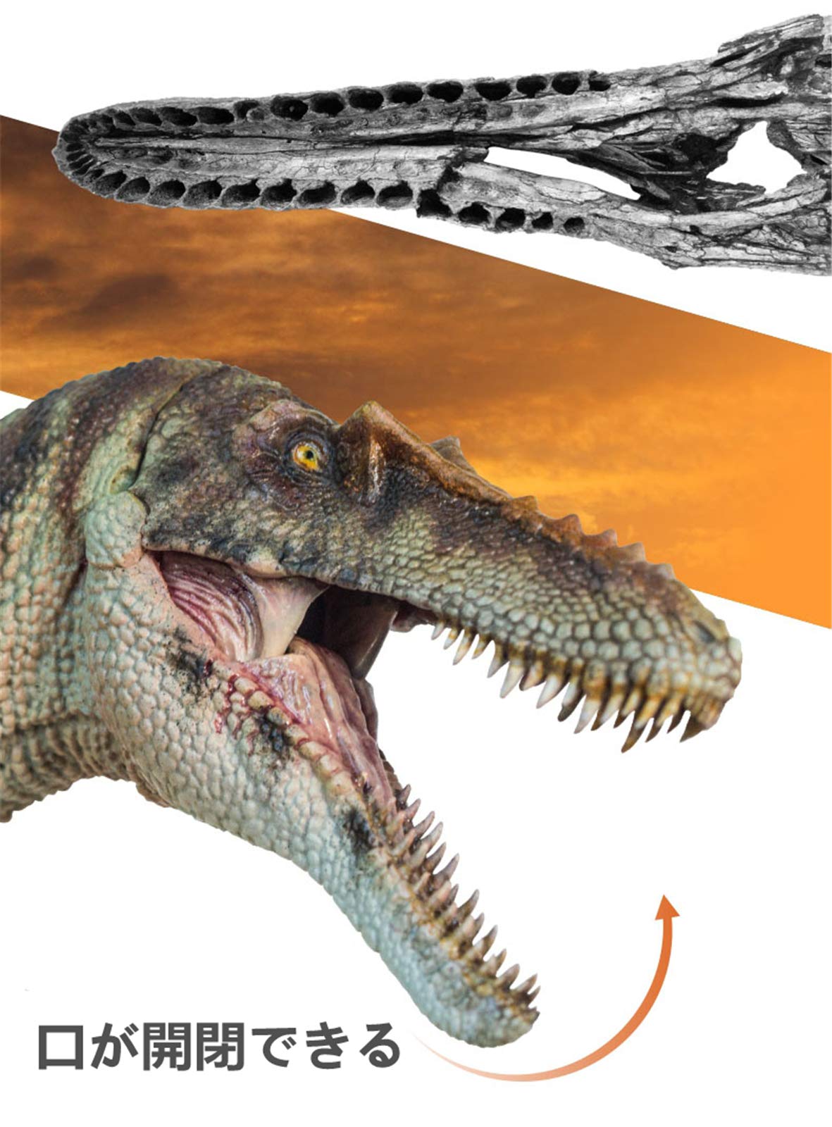 Amazon | PNSO 恐竜大王 先史時代の動物 42 キアンゾウサウルス