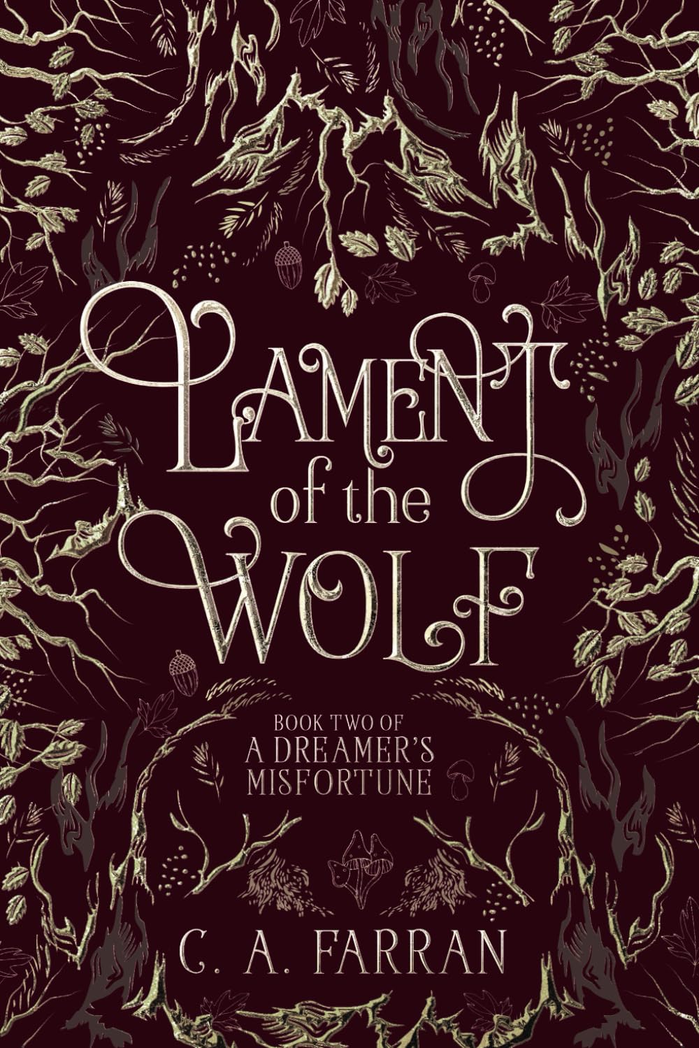Lament of the Wolf: Book Two of A Dreamer's Misfortune