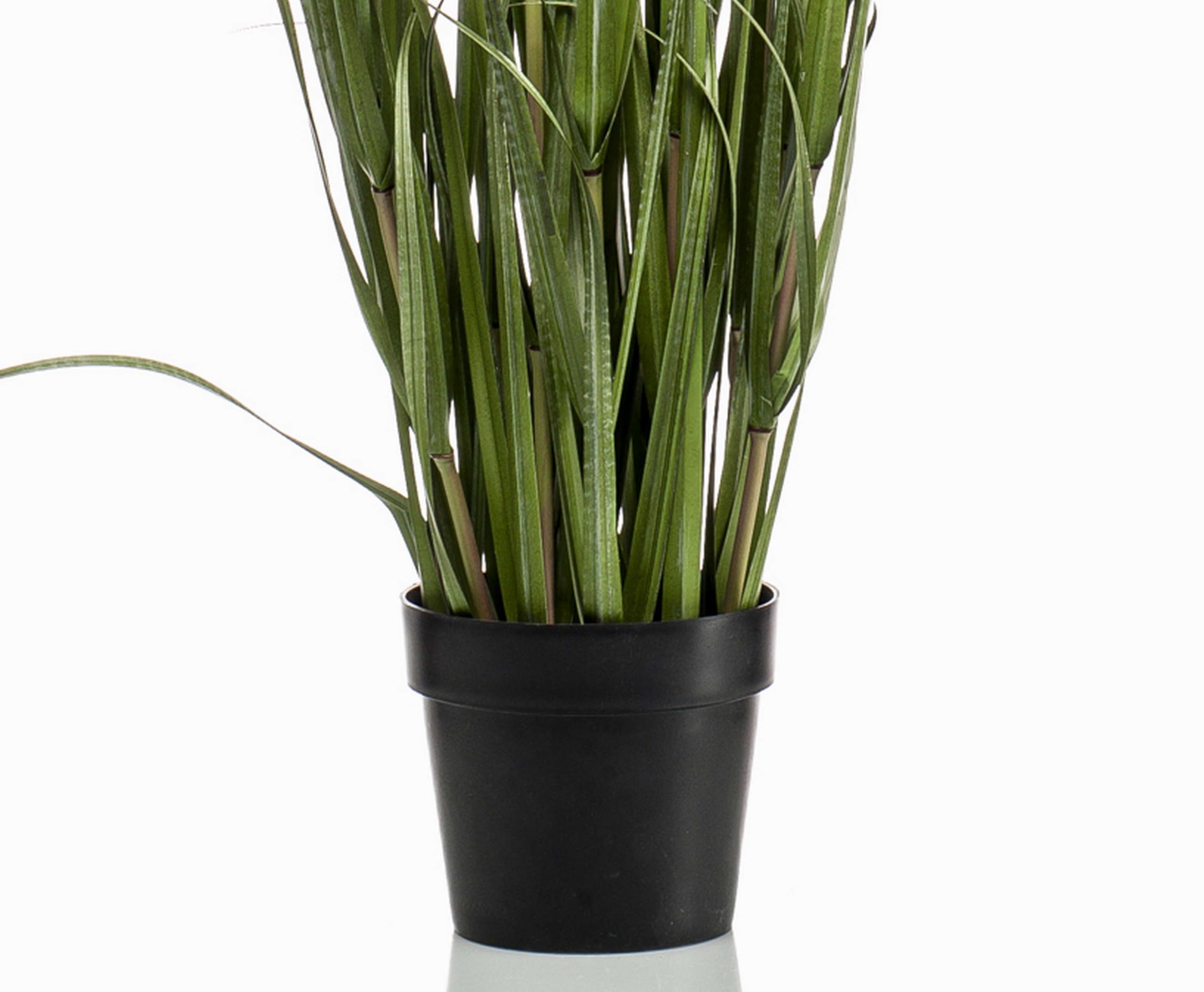 artplants.de Herbe de la Pampa Artificielle Alcantara, Vert, 160cm