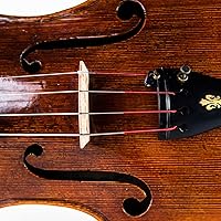 Vista 3 de Thomastik -Infeld Spirocore Viola Single C-String - Escala 4/4 - Nº S21