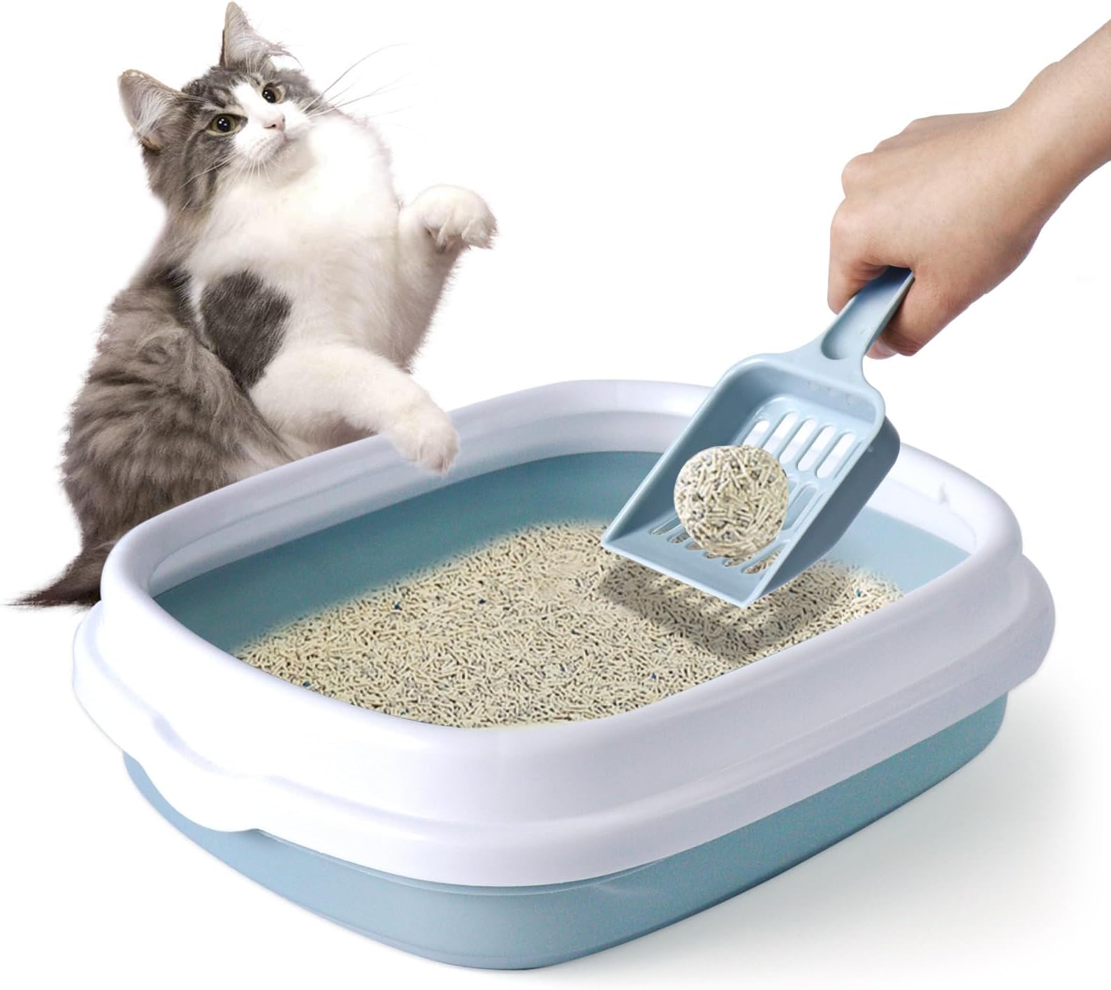 jovani Kitty Litter Box, Open Cat Litter Boxes Anti