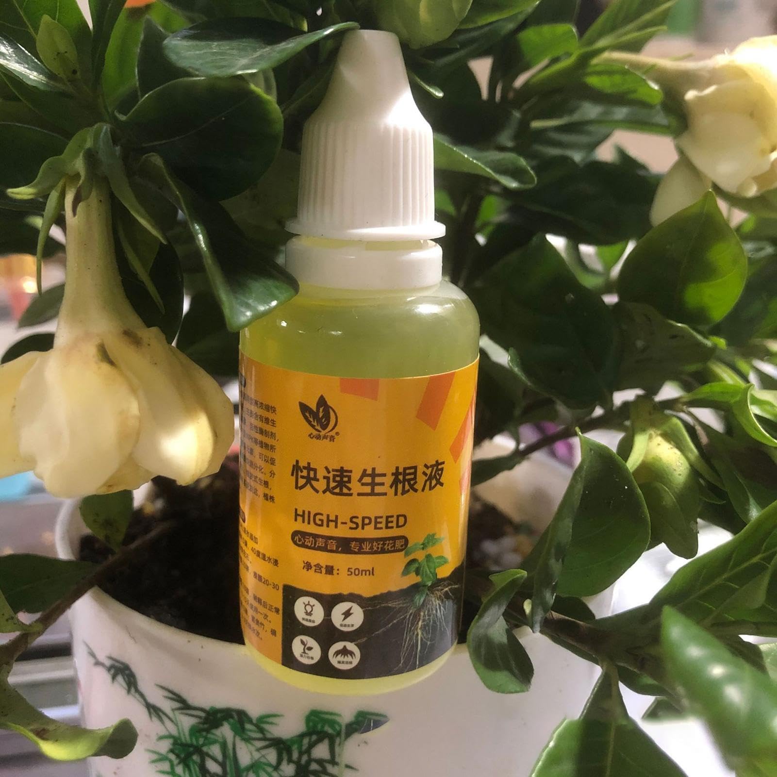 Tioheam Ormoni radicanti delle Piante,Stimolatore di Radici di Alberi organici liquidi ad Alte Prestazioni | Root Starter per Piante, Ideale per talee di Piante, trapianti, stimolatore di Radici