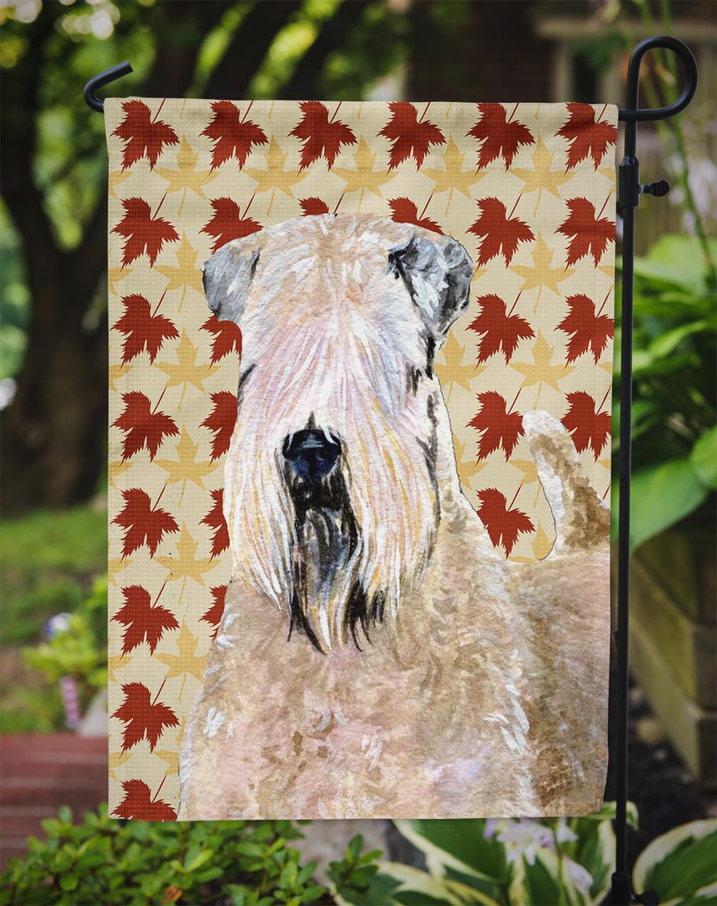 Puppy Soft Coated Wheaten Terrier - A Photo On