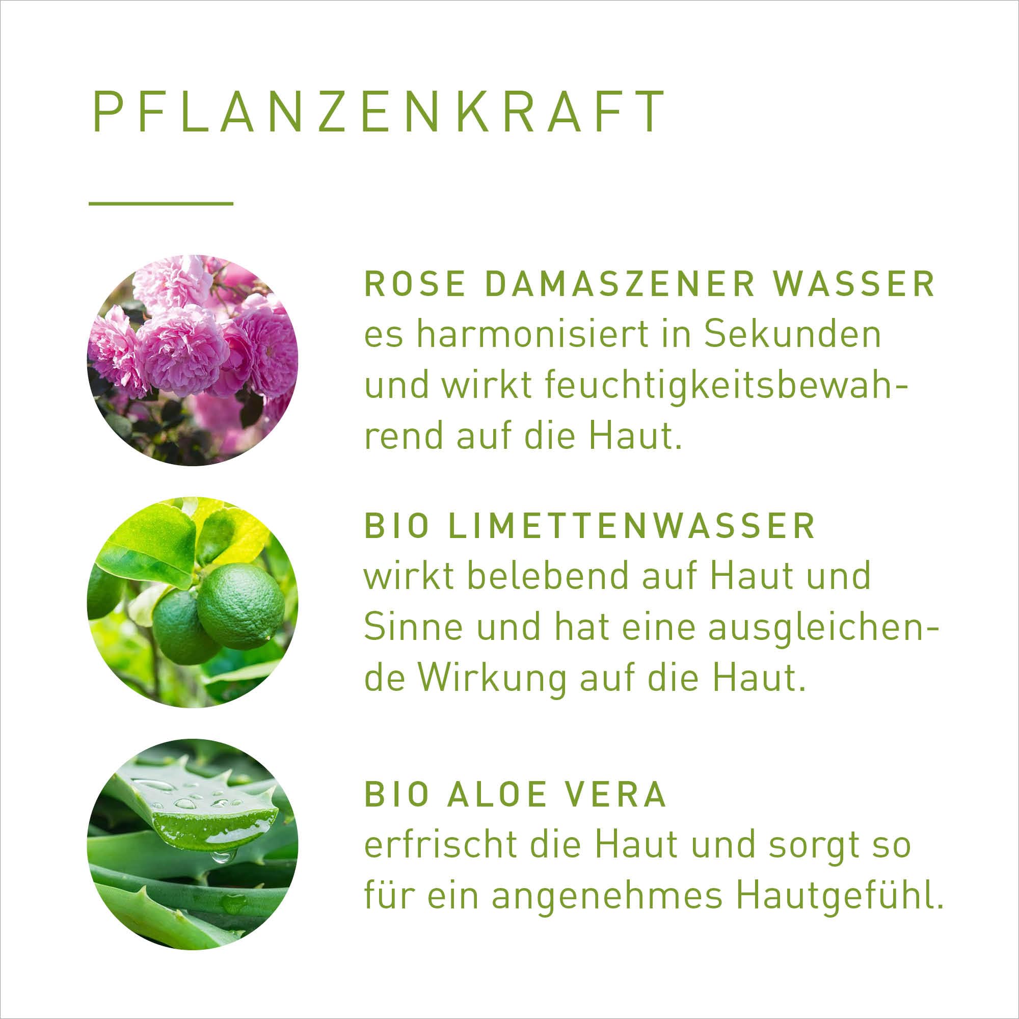 PRIMAVERA Hyaluron Serum - De-Stressing & Regenerating 30 ml - Naturkosmetik - wirkungsvolles Hyaluron Serum für alle Hauttypen - vegan