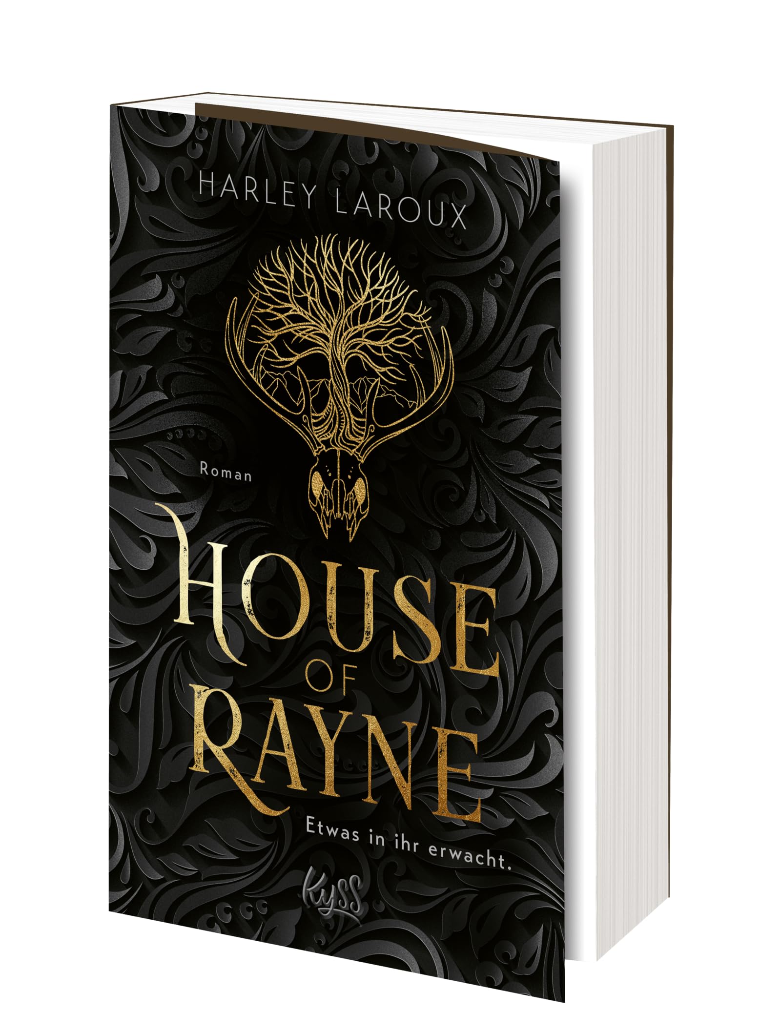 House of Rayne: Etwas in ihr erwacht.