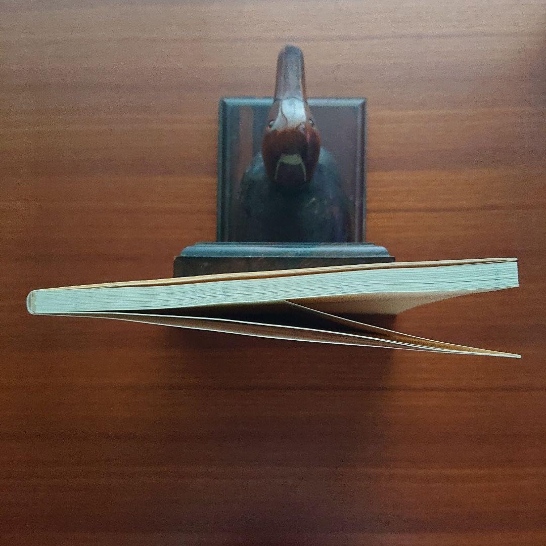 Amazon.co.jp: 数学プロムナード 1 整数 整式 不等式 図形編 #数学