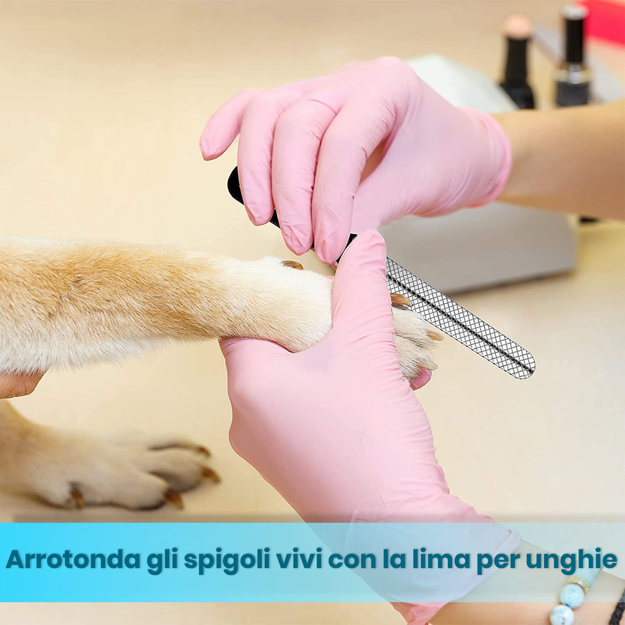 CANDURE Tagliaunghie Cane e Gatto con Guardia per Protezione Cani - Acciaio Inossidabile Tagliaunghie Gatto Professionale per Veterinaria e Uso Personale (Blu, Grande a Medio)