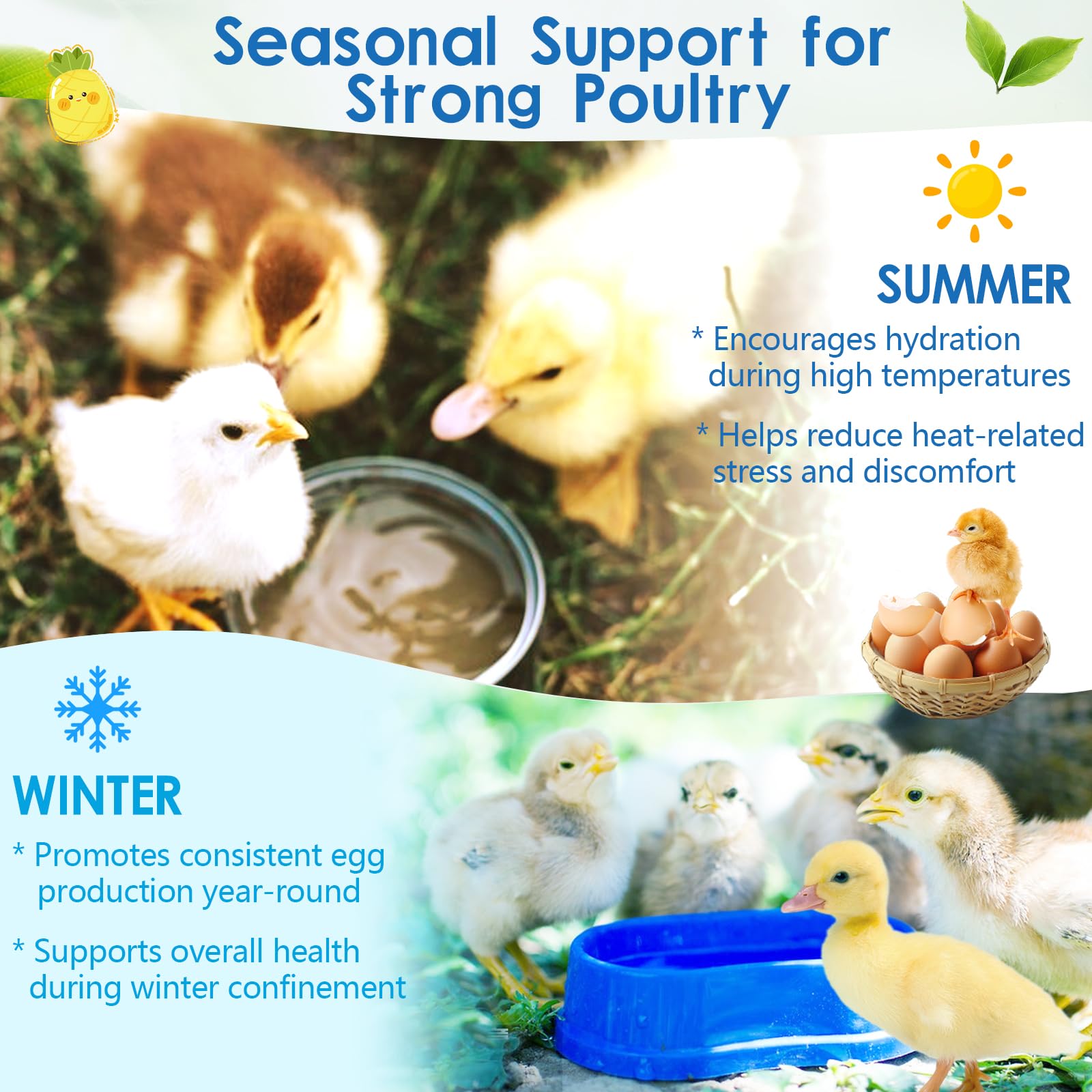 Chicken Vitamin, Electrolyte & Probiotic Powder for Hydration, Digestion, Immunity & Egg Production - Poultry Supplement for Chickens, Ducks & All Ages of Birds - All-Season Formula, 10 oz