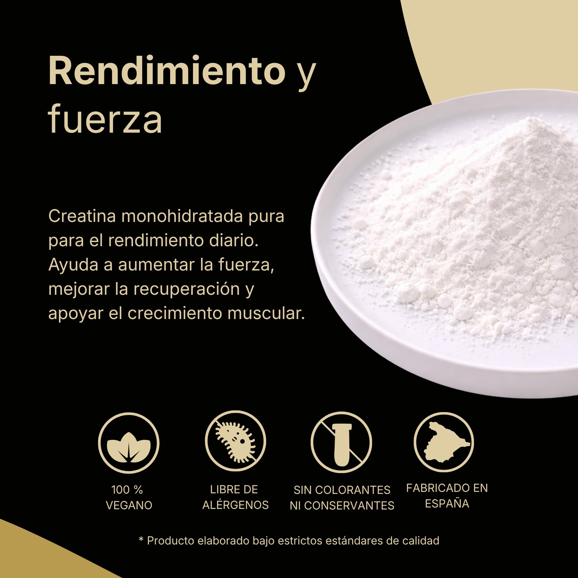 Creatina Monohidratada Micronizada FEPA – 500 g Pack de 2 – Creatine en Polvo Neutra – Suplemento Alimenticio Deportivo – Apoya el Rendimiento Físico, Fuerza y Función Muscular – Fepadiet