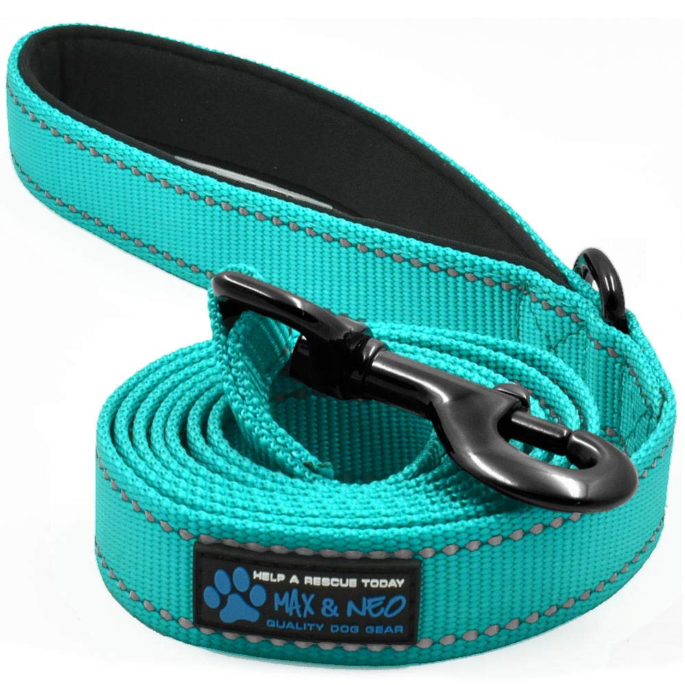 Small Dog Leash - Reflective Nylon, Donates to Dog Rescue (Teal, 6x5/8)