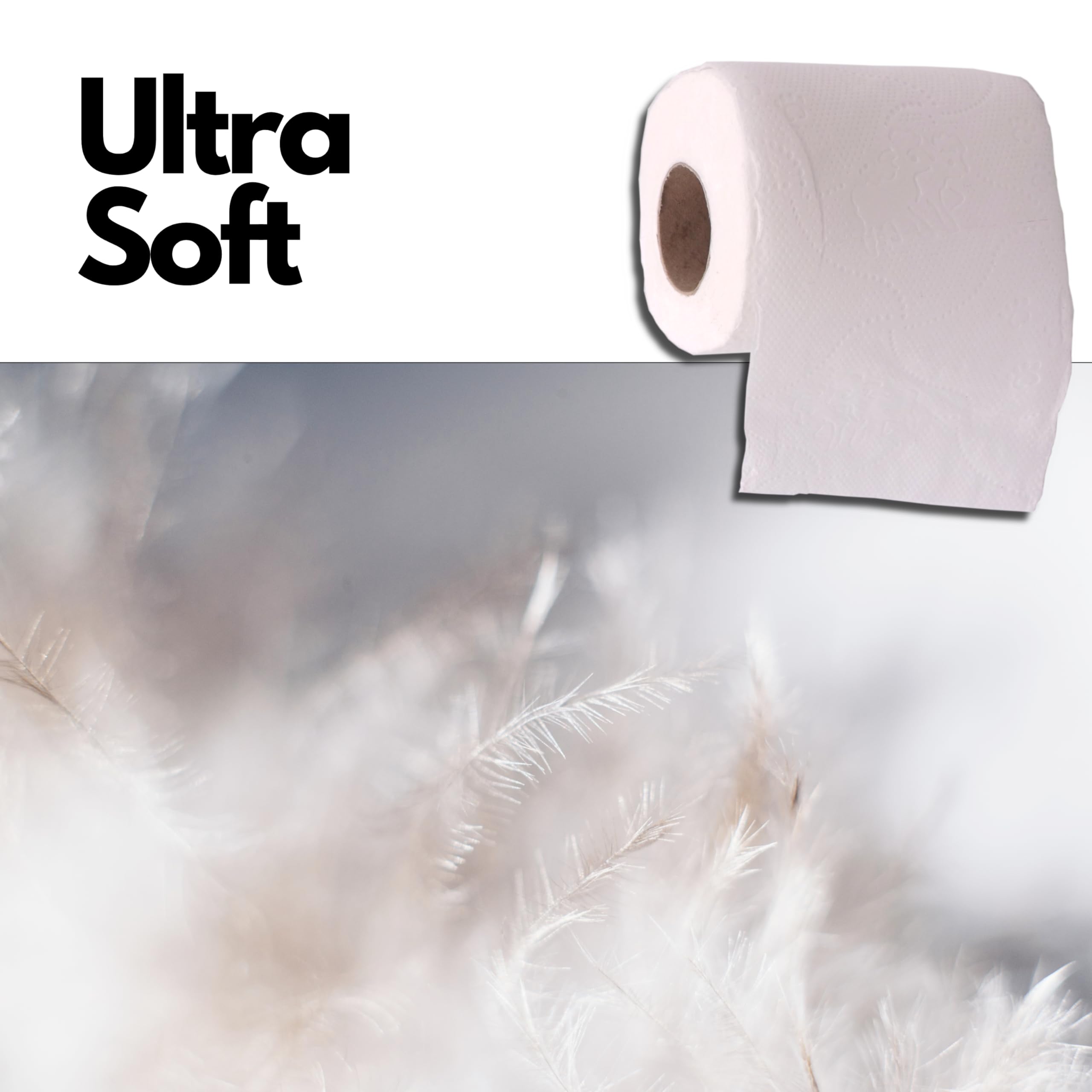 Carta Igienica 2 veli 60 rotoli (6 pacchi da 10 rotoli) Non profumata goffrata Ultra Soft Super Conveniente trapuntata multidisegno
