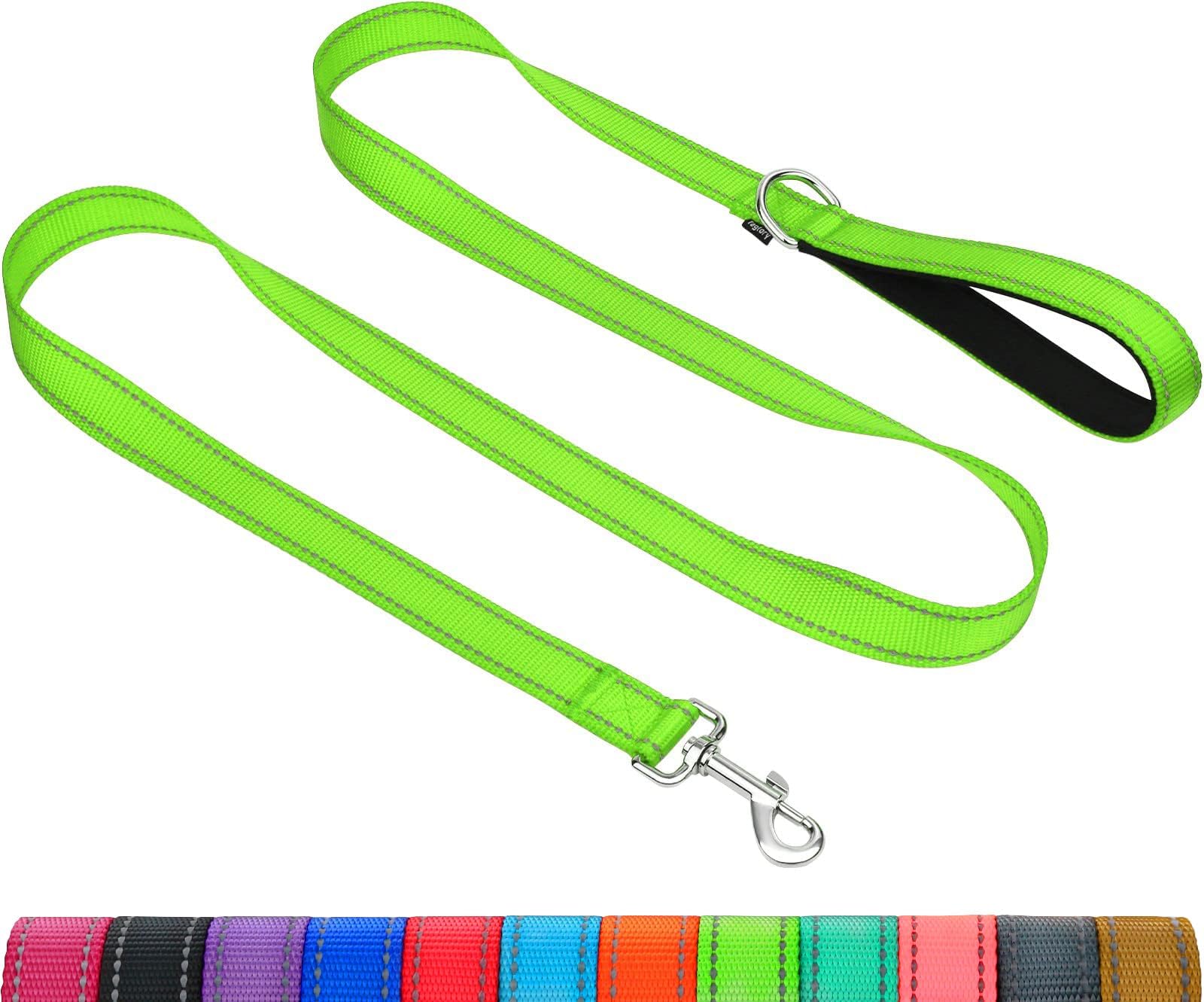 TagloryDog Leads for Medium Large Dogs | Double Sided Reflective | Soft Neoprene Padded Handle | 2.5cm Wide by 180cm Long | Neon Green