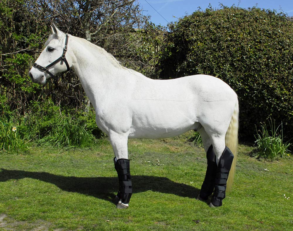 Rhinegold Full Length Horse Travel Boots in Black or Navy Pony, Black
