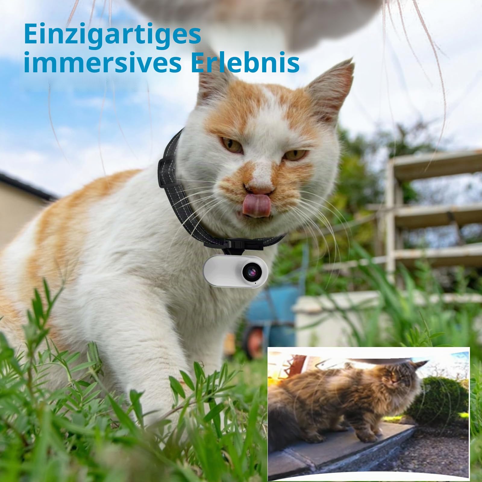 HD 1080P Katzen-POV-Kamera Halsband mit Videoaufnahme, Mini-kleine Sport-Videokameras, Body-Cam Outdoor/Indoor ohne WiFi, einzigartiges Haustierzubehör Geschenk für Haustierbesitzer