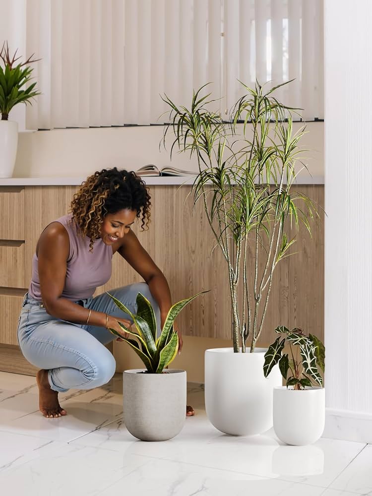 VALIEM willing plant BOWL-L VALIEM willing plant BOWL-L VALIEM