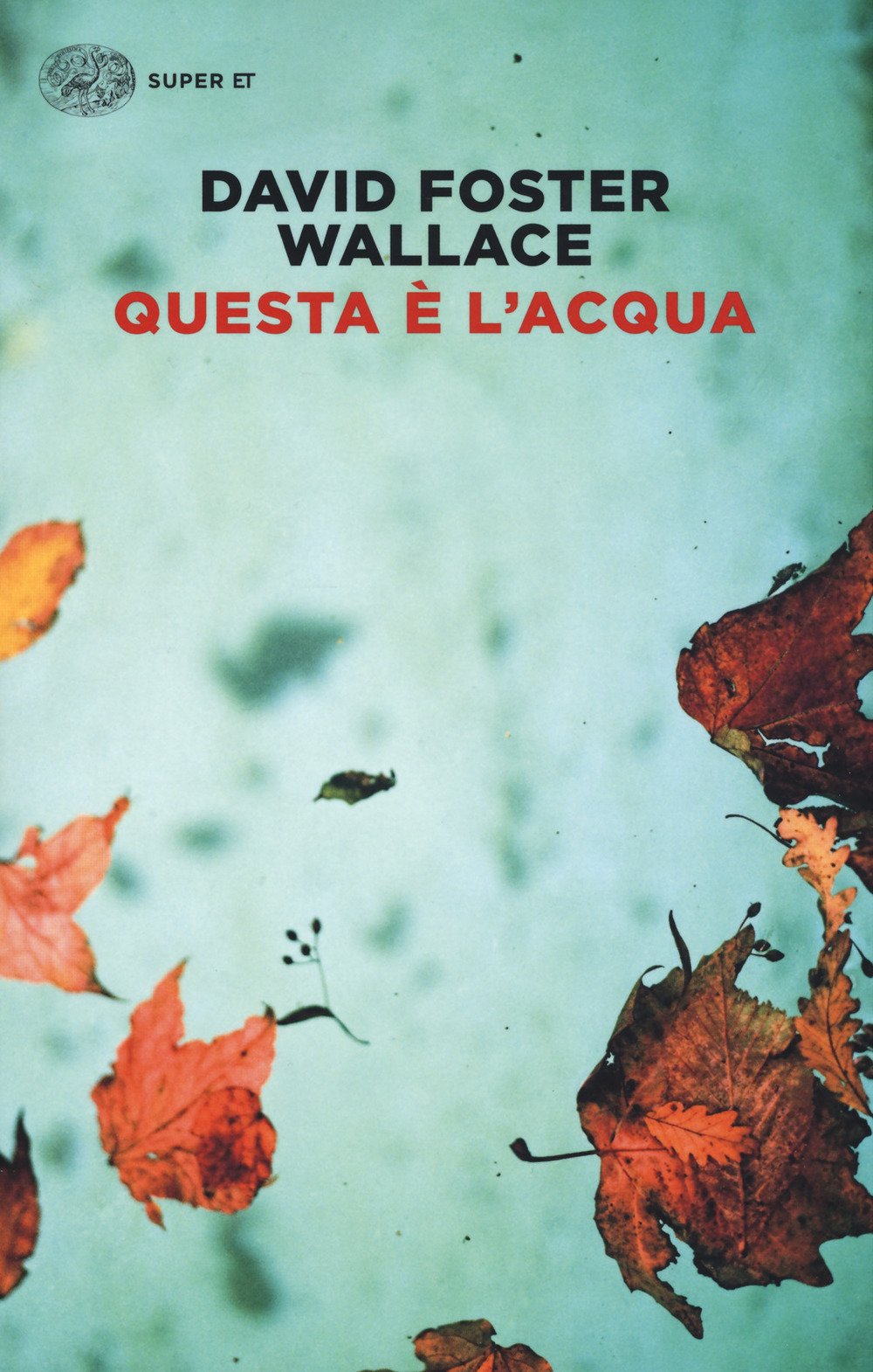 Questa è l'acqua Paperback – 16 May 2017