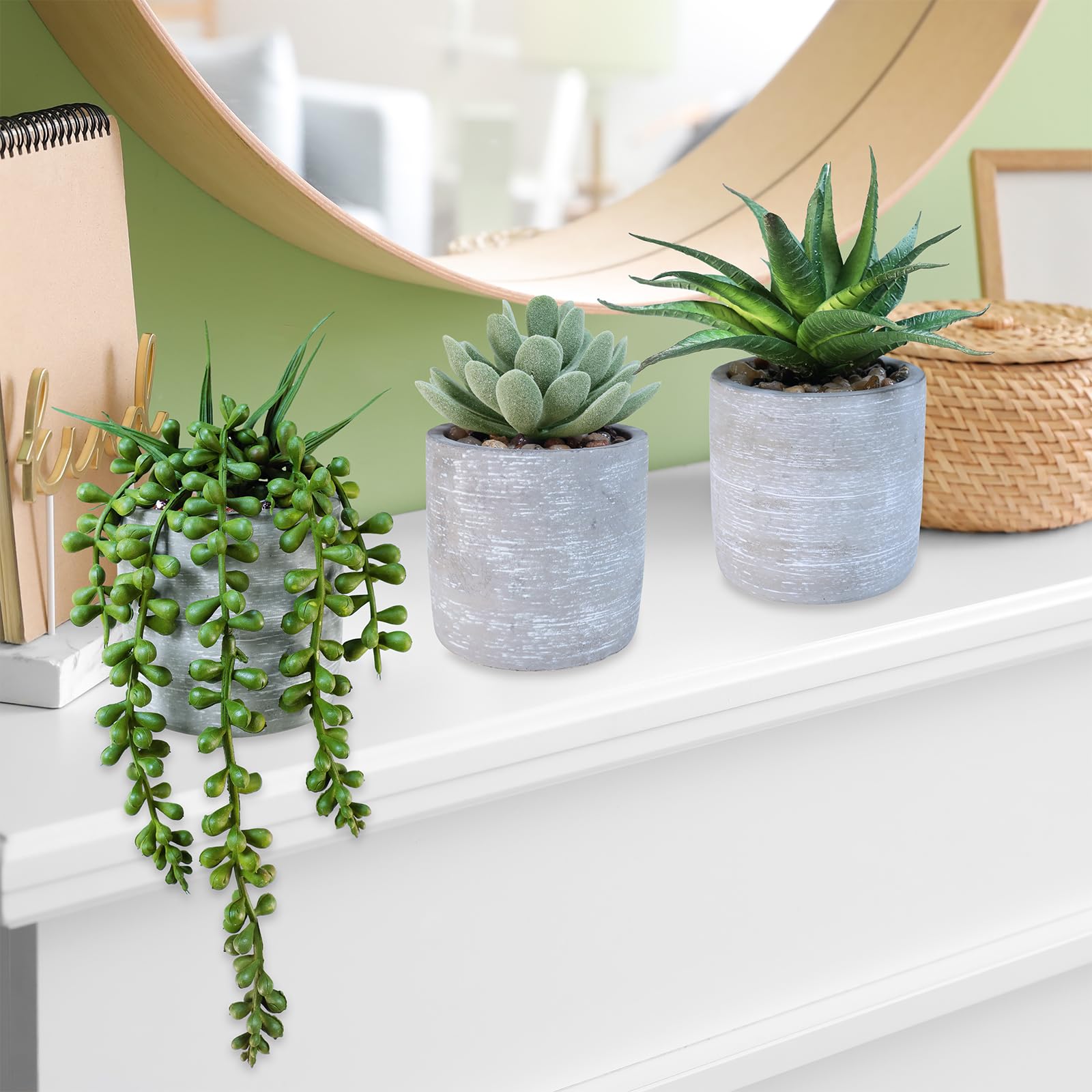 Amazon｜Winlyn 人工鉢植え多肉植物 人工アロエ エケベリア 真珠の紐