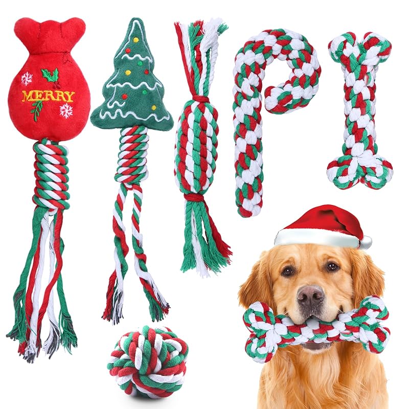Brinquedos de Corda para Cães Pequenos e Filhotes em Algodão Weocar, Pacote com 6