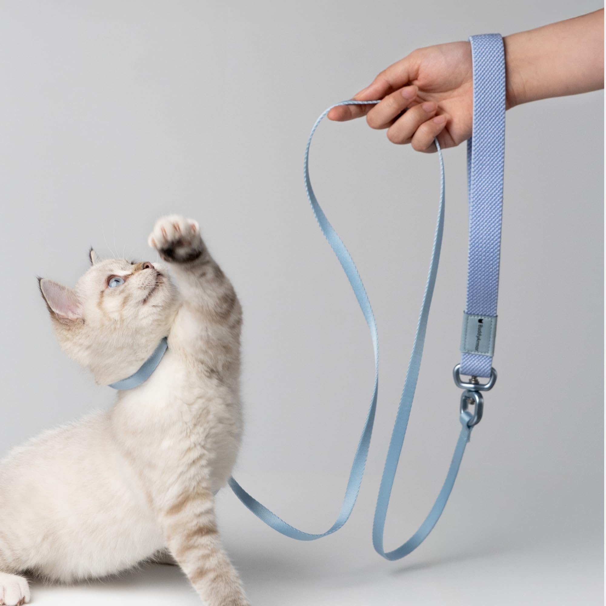 Arnés y correa para gatos 2 en 1, diseño de premio de bronce IDA de Estados Unidos, a prueba de escape y antiasfixia, para caminar y entrenar, peso ligero para gatitos y gatos pequeños y