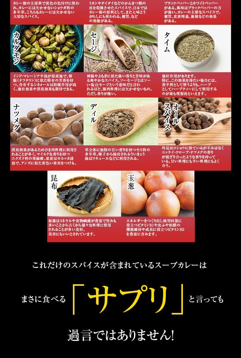 3種から選べる 北海道極旨スパイシー.スープカレー2食.【B】通常のレトルトカレーでは出せないスパイスの香り！調理は簡単湯煎でお湯ポチャ6分！カレーうどん、業務用にもおすすめ！ (2食, 角煮)