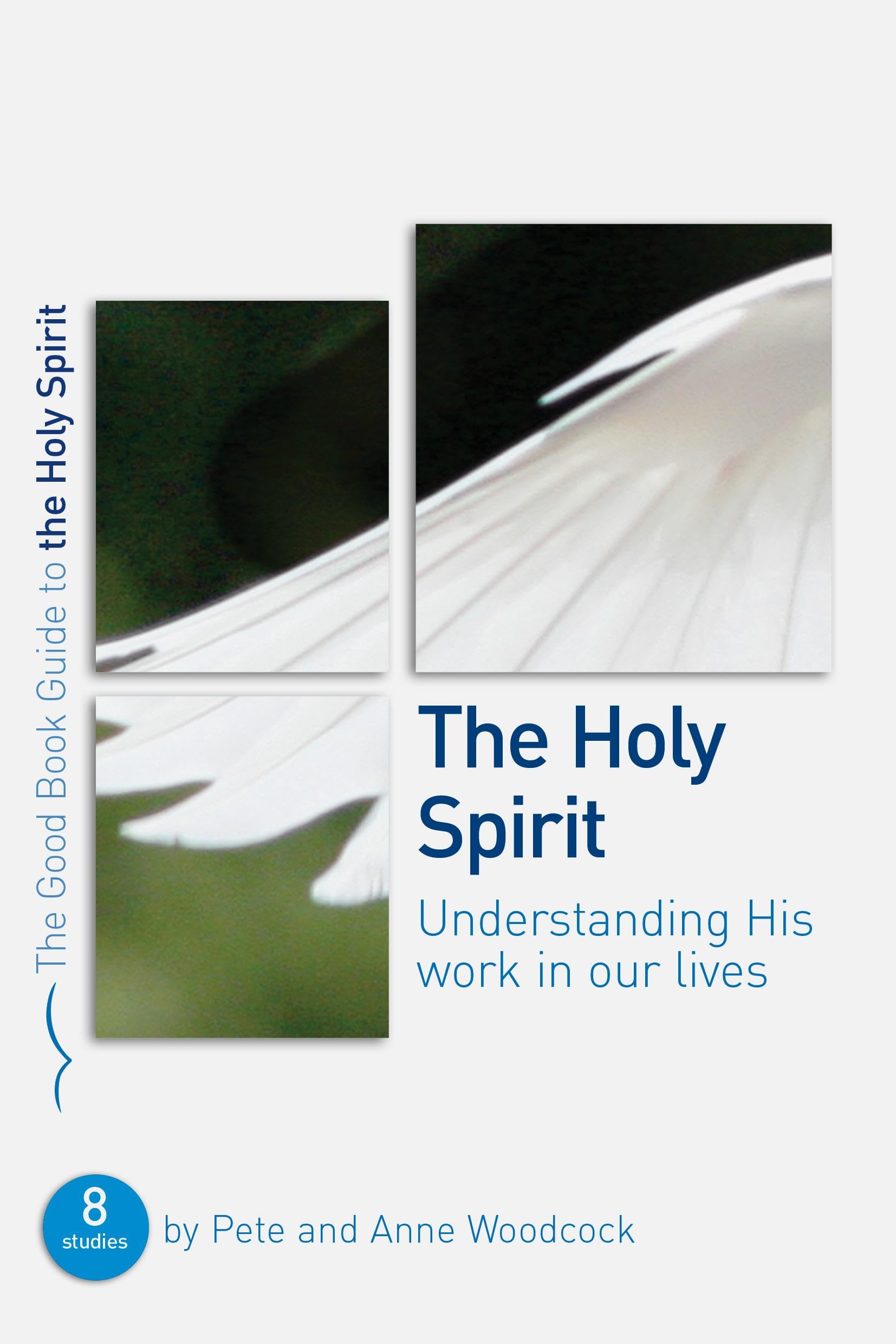 The Holy Spirit: Understanding His work in our lives (Good Book Guides)