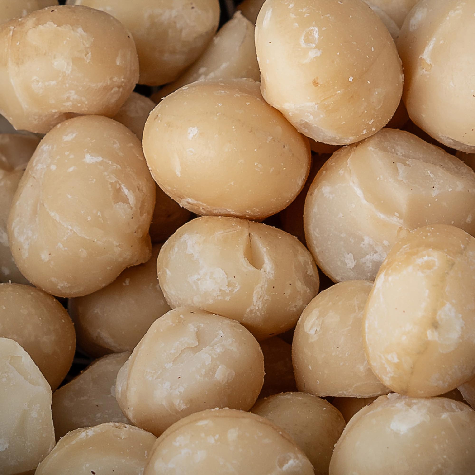 CASCA RIJA: Nuez de Macadamia 1 Kg | Sin Aceite, Sin Conservantes y Sin Sal Añadido | 100% Natural, Vegano