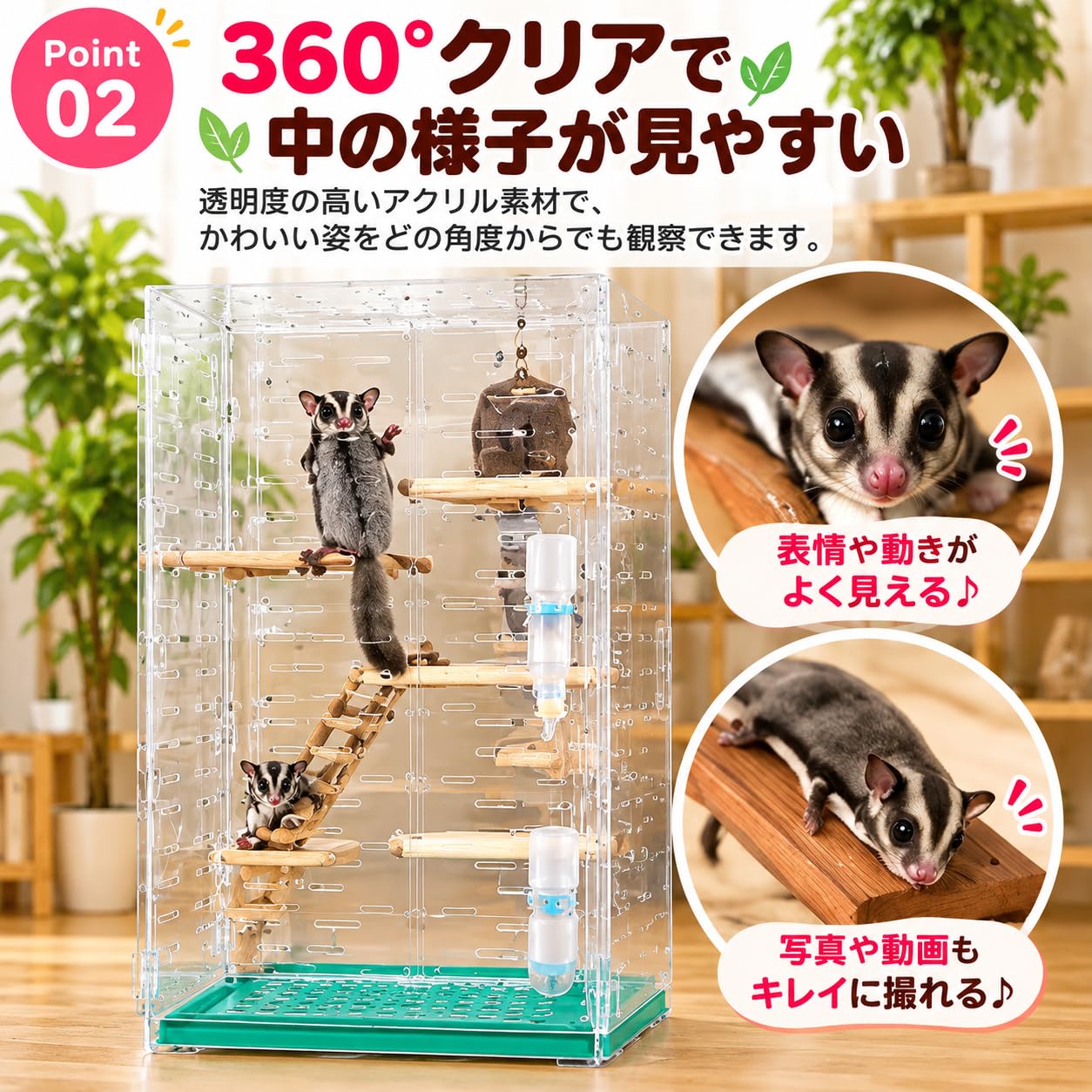 Amazon | HaNaRuNa アクリルケージ 小動物 フクロモモンガ ケージ 透明