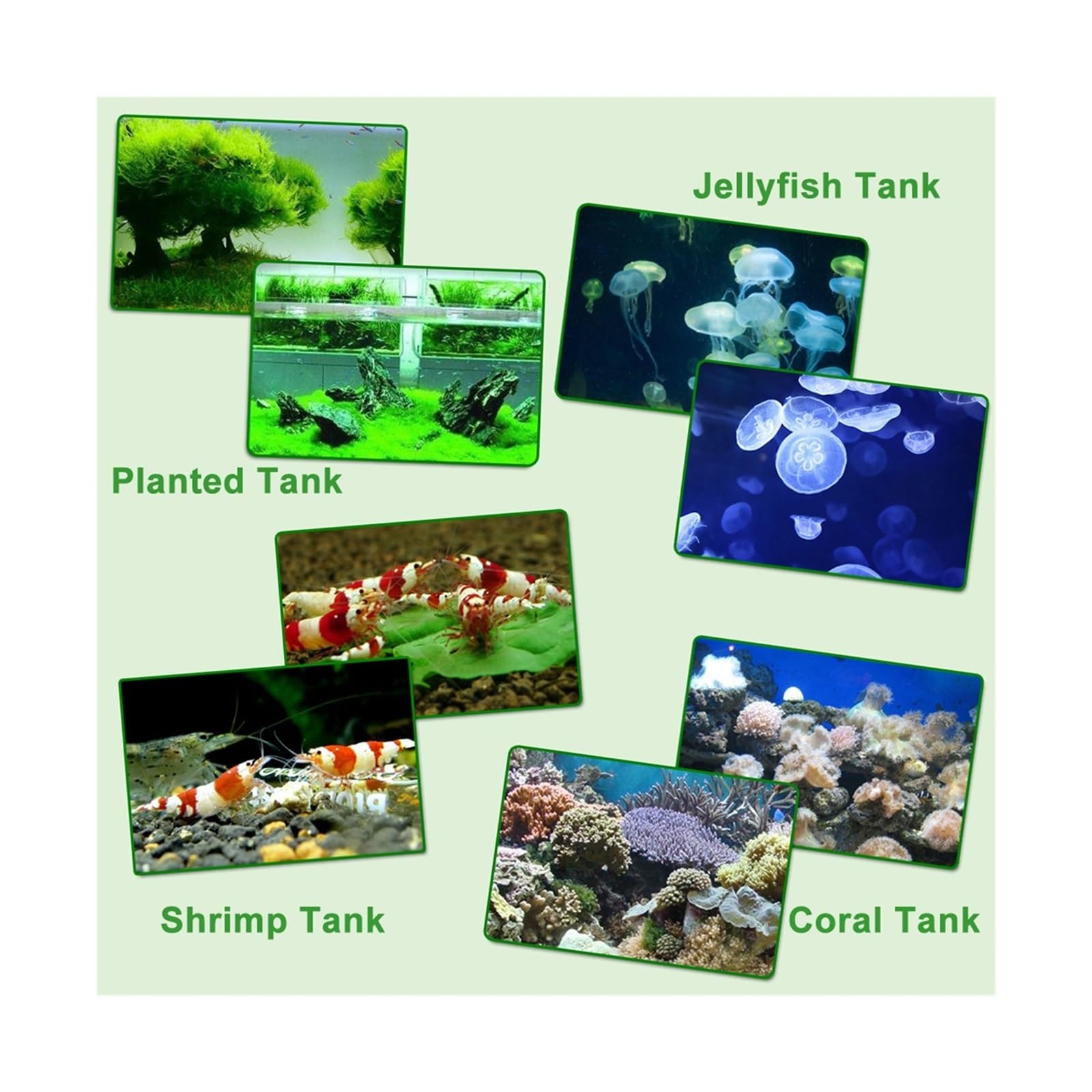 Chłodziarka do akwarium, Chłodnica wodna do akwarium do akwarium 20/30L agregat do akwarium do sadzenia/meduzy/koral/krewetki Nano Tank akcesoria do akwarium dla zwierząt wodnych, akwakultura(30L Cool
