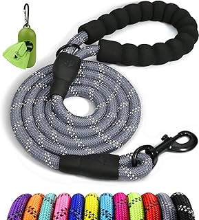 Taglory Hundeleine mit bequemen gepolsterten Griff, robuste Hundeleine zum Trainieren und Gassi gehen, 180×1.2cm Reflektierend Führleine aus weichem Nylon für große Hunde, grau