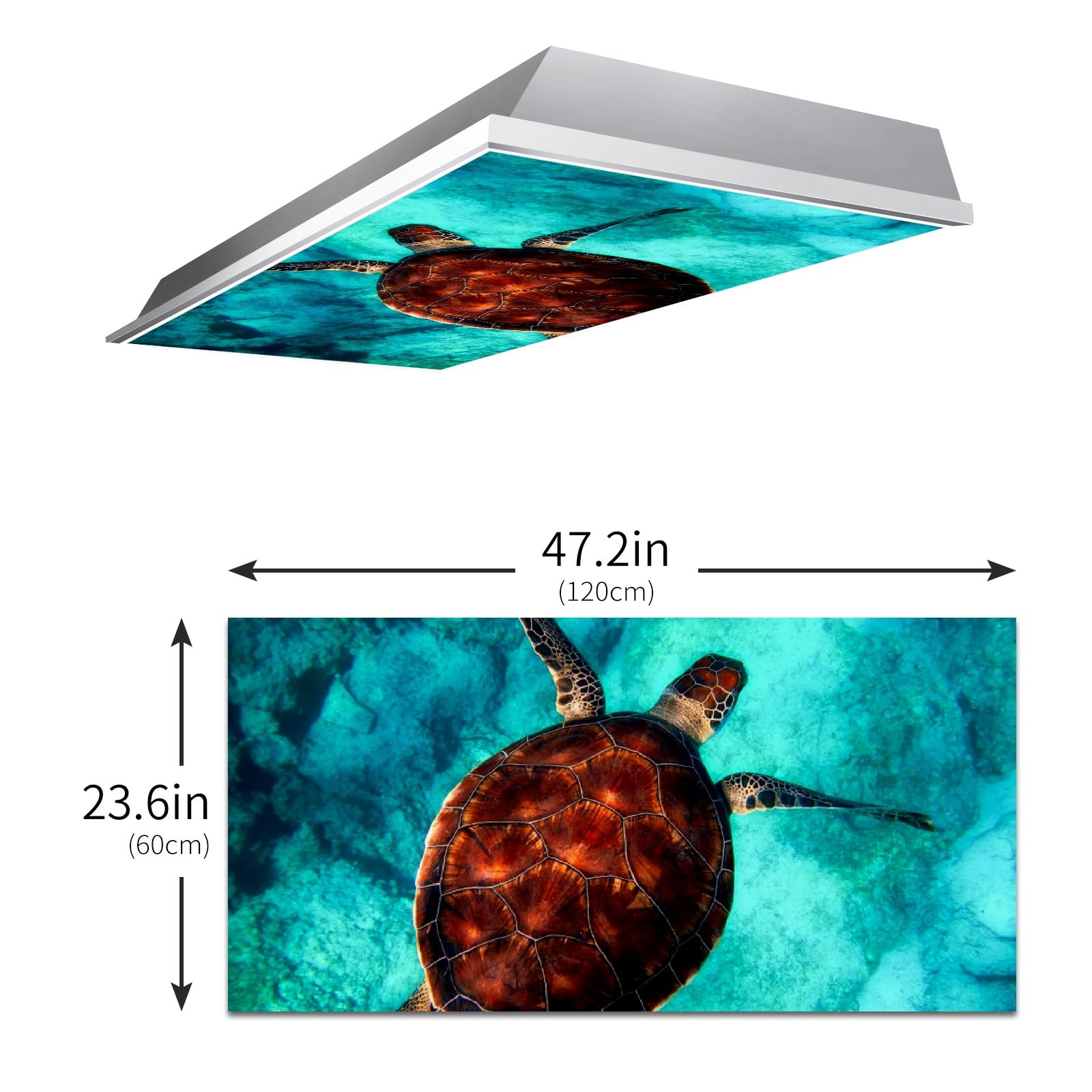Turtle Light Up Shell Ceiling Lights Up Turtle Ocean Sea Turtle Fluorescent Light Cover