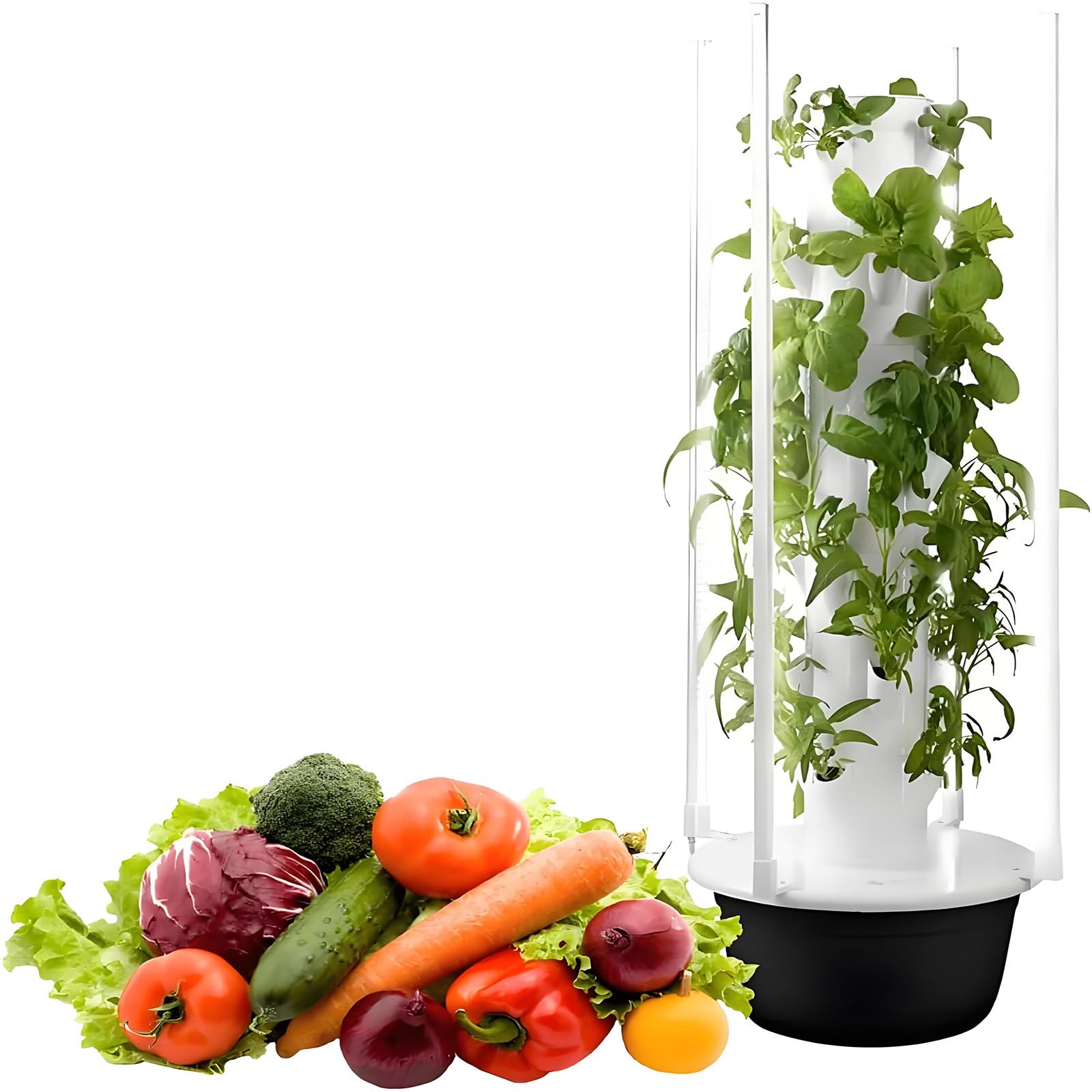Culture hydroponique d'intérieur pour faire pousser vos légumes frais dans la cuisine