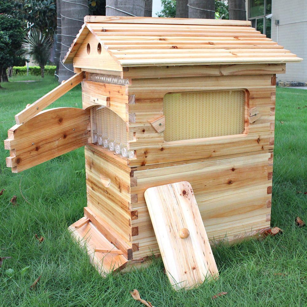 Golden Palace Auto Flow Beehive with 7pcs FlowFrame Super Box, Free Outer Hive (7pcs Flow Frame Set)