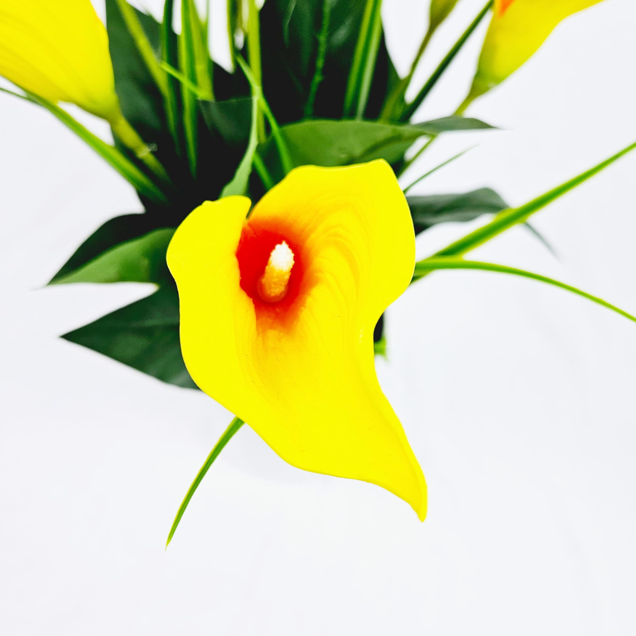 Tecnokit Piante Finte Interno, Piante Artificiali da Esterno realistiche, con vaso incluso, pianta finta, materiale plastico realistico al tatto, adatto per tutti gli ambienti (CALLE 40 CM GIALLO)
