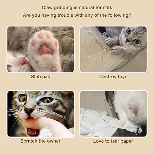 Miniatura 5 de Kitty kurlz Juguete para gatos Magic Organ Scratcher Board & Ball Adventure, Ultimate Interactive Mental & Physical Exercise for Indoor Cats