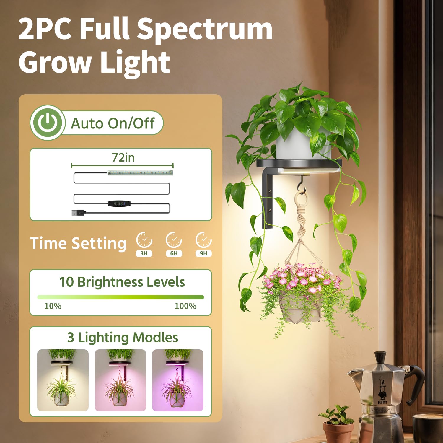 LASZOLA Lot de 2 supports muraux pour plantes d'intérieur avec lampes de croissance, supports de fenêtre en métal, présentoir à fleurs flottant moderne avec 2 crochets pour décoration extérieure
