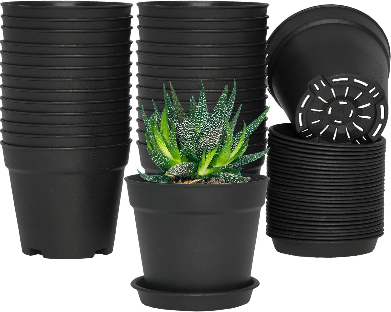 Teku 30Pack, Plastic Pots for Plants, Cuttings & Seedlings