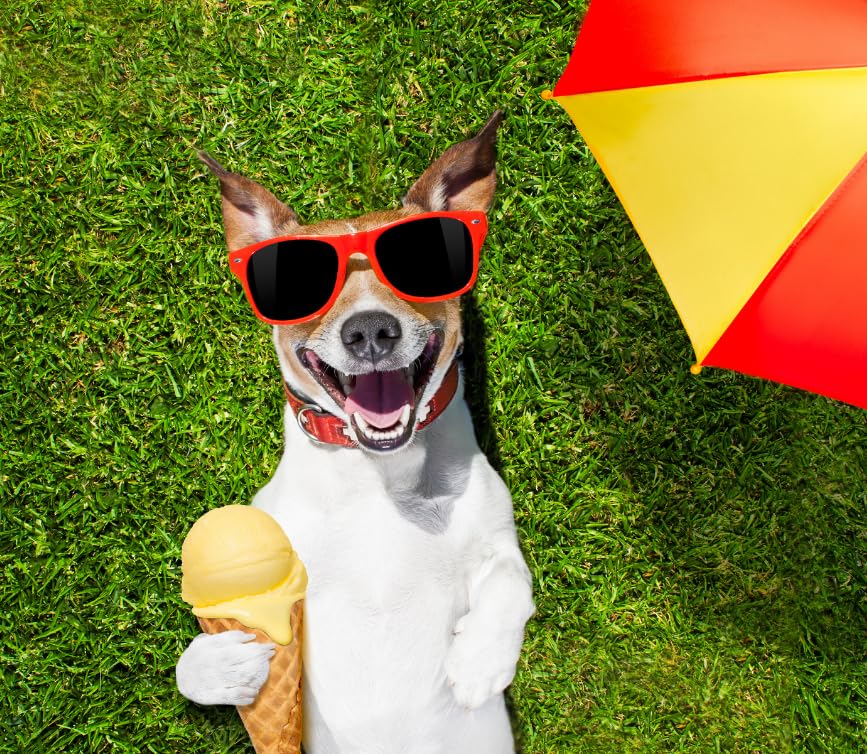 YowUp! Joghurt-Eis für Hunde