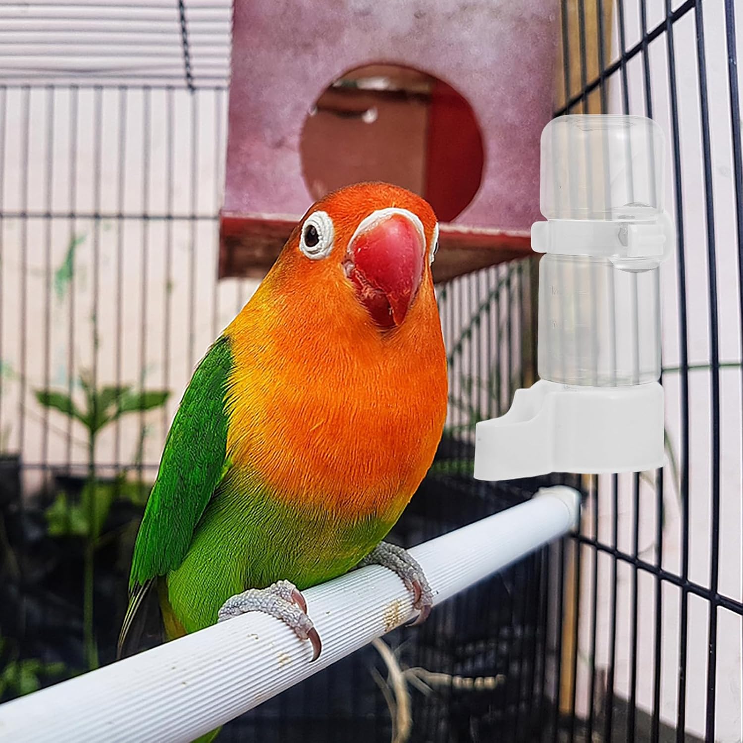 Automatic Bird Water Dispenser Sleek White Water Bottle and Versatile Use with Plastic Construction for Cage Suitable for Parakeet Accessories and Bird Cage Setup
