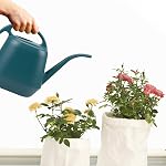 Fasmov Canette d'arrosage en plastique, 1-Gallon, vert