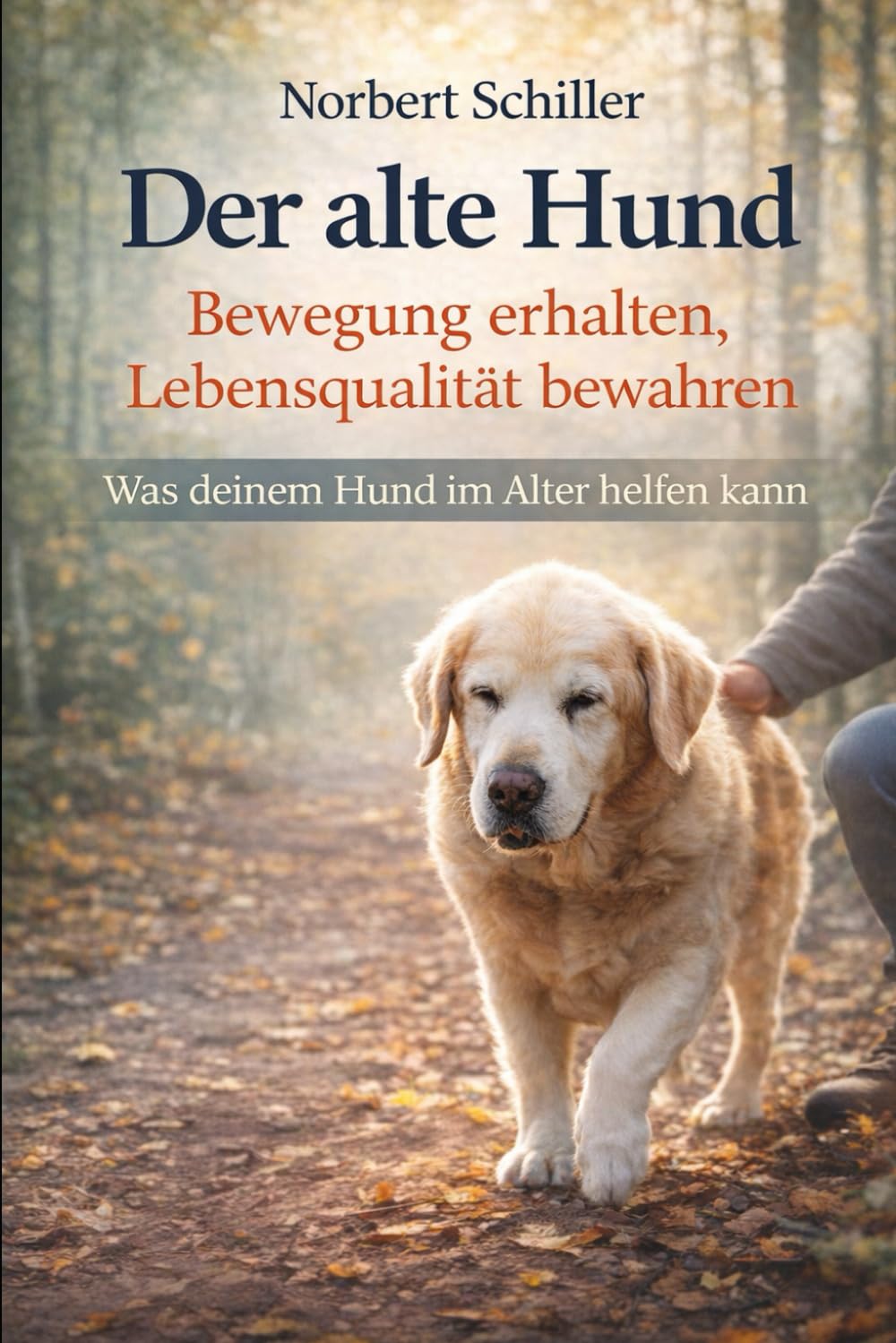 Der alte Hund – Bewegung erhalten, Lebensqualität bewahren: Was deinem Hund im Alter helfen kann