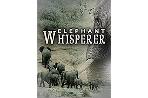 The Elephant Whisperer