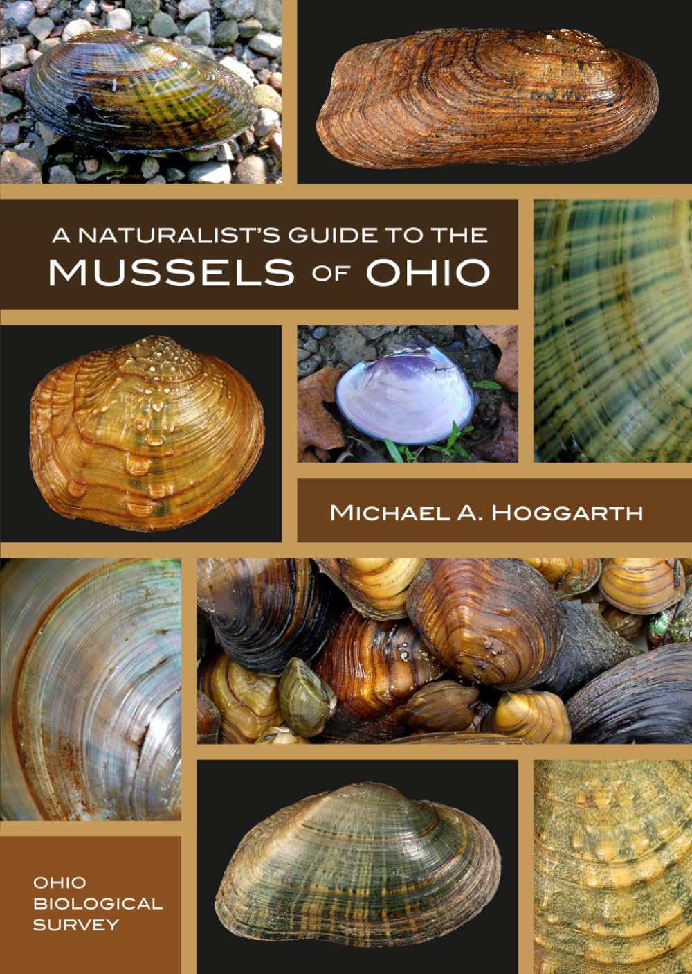 A Naturalist’s Guide to the Mussels of Ohio      Paperback – February 16, 2026
