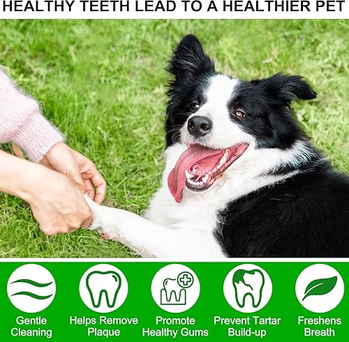 Miniatura 7 de RSGRT Toallitas de limpieza de dientes de mascotas para perros y gatos, toallitas dentales para perros, ambientador de aliento toallitas de limpieza