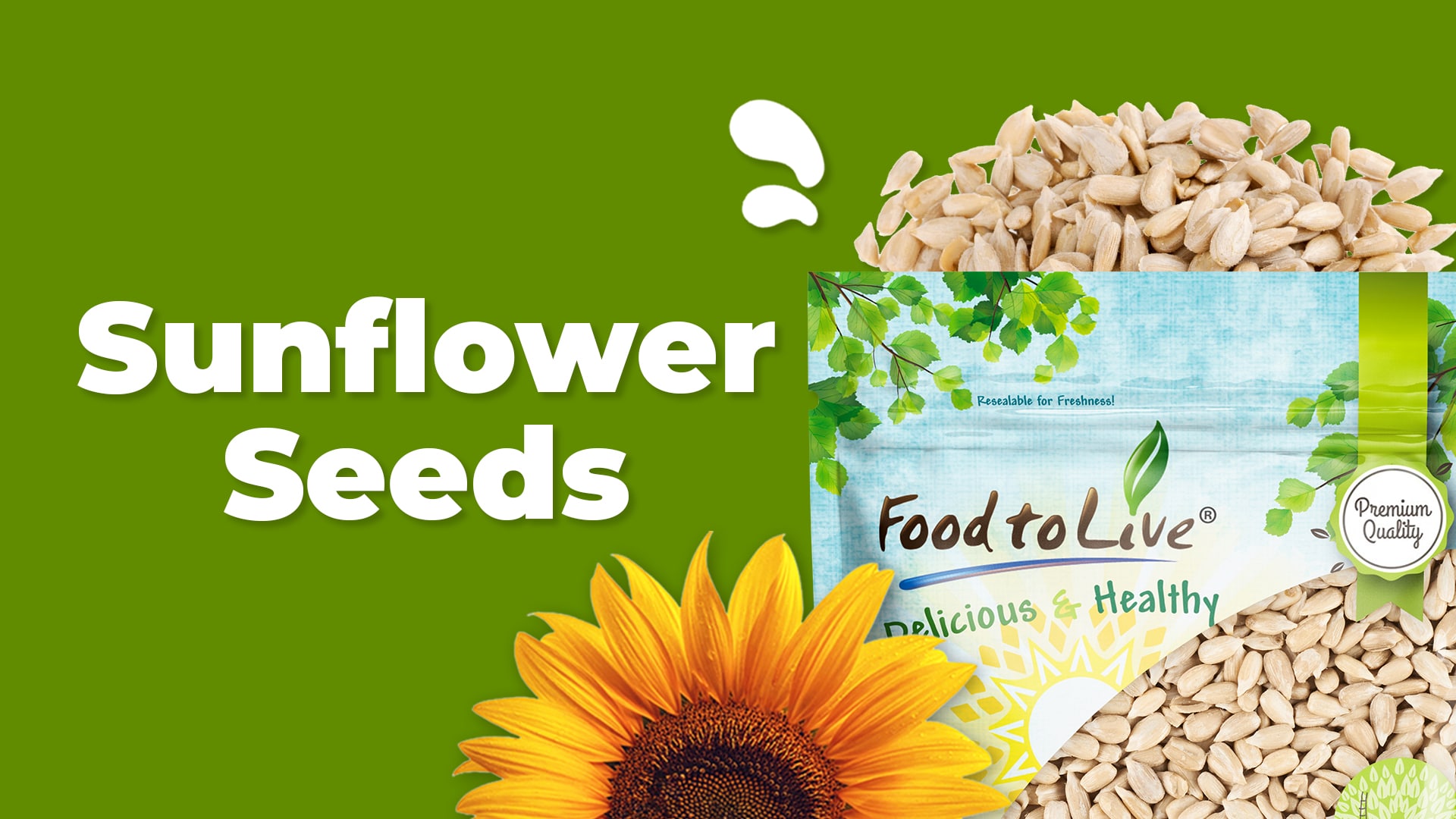 Verified Supplier Sunflower Kernels Bulgaria Jumbo Kernels