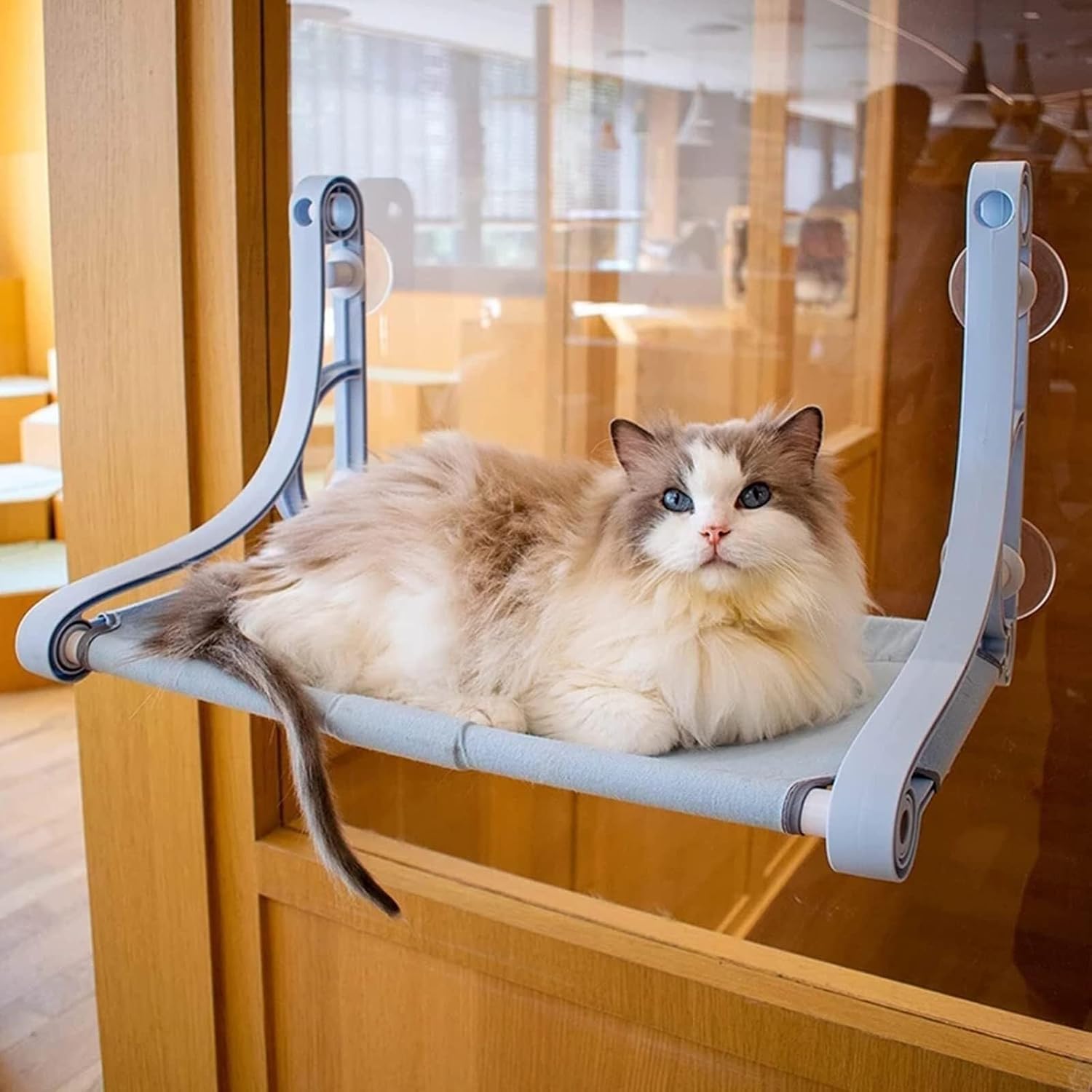 Cat Window Perch,with 4 Strong Suction Cups and Wall Anchors,Cat Hammock for Large Cats