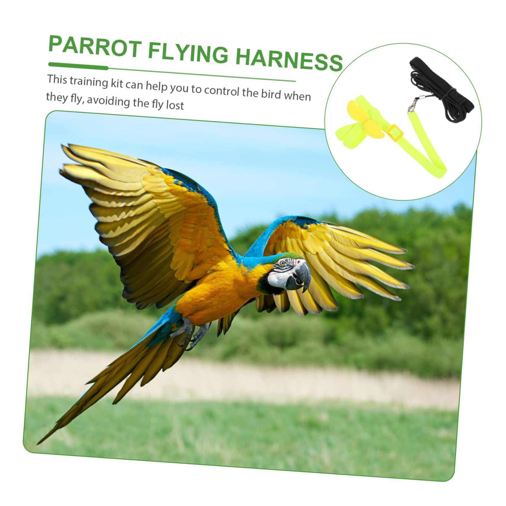 Beavorty 4stücke Pet Vogel- Set Für Papageien Einstellbare Trainingsleine Für Vögel Elastisches Zubehör Für Sichere Ausflüge Und Outdoor-Training Geeignet Für Wellensittiche Und